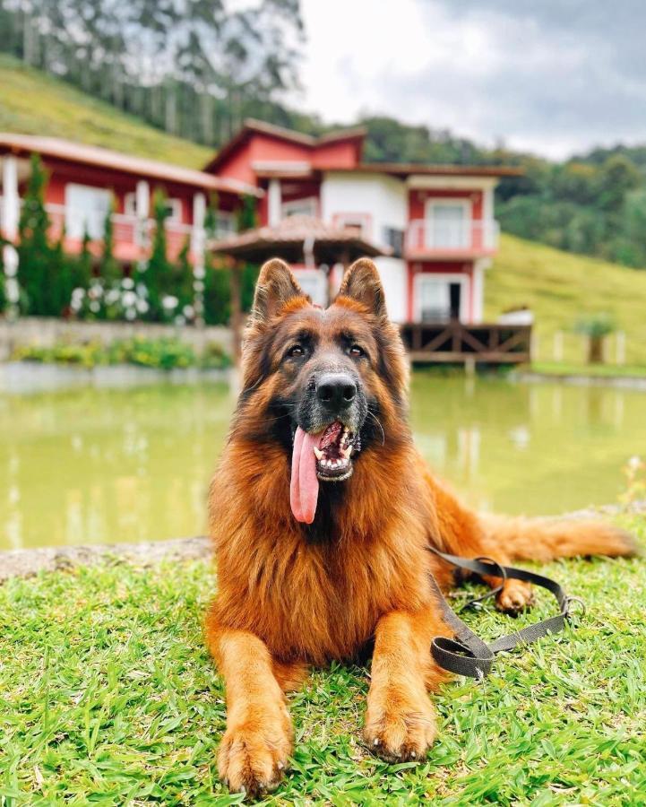 Ampla Casa De Campo - Afaven Aguas Mornas Exteriér fotografie